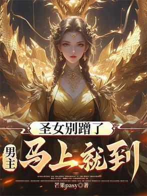 圣女婊是啥意思