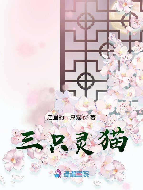 三只猫组合