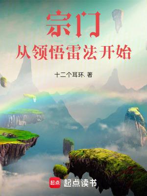 宗门从领悟雷法开始零点