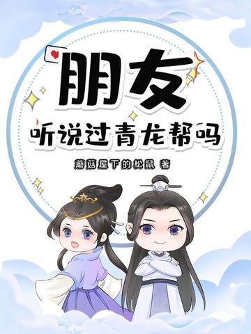 青龙帮是什么电视剧?