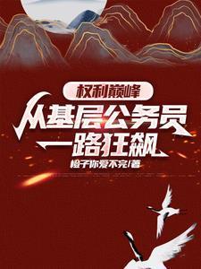 权力巅峰从乡镇公务员开始