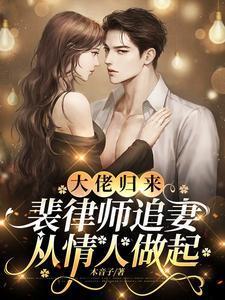 大佬归来裴律师追妻从情人做起全文阅读