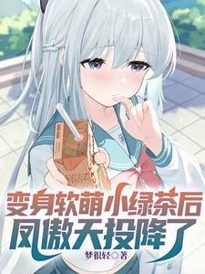 凤傲天的轻