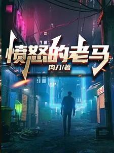 愤怒的老马作者