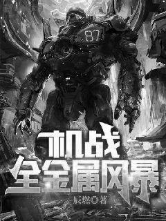 机甲战士-全金属狂潮