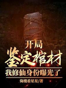 开局鉴到系统
