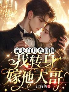 我转身嫁他大哥免费阅读