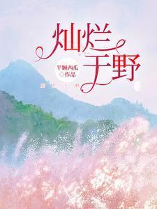 灿烂什么目