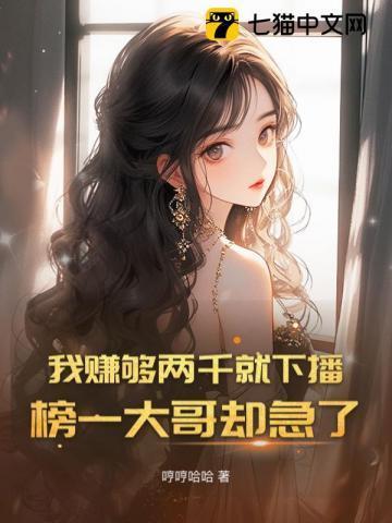 我赚够三千万就收手字幕