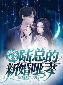 陆总暖婚新妻