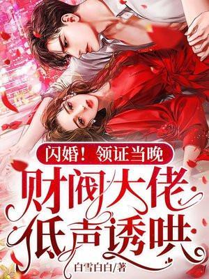 闪婚领证当晚财阀大佬低声诱哄江晚陆辞年 笔趣阁