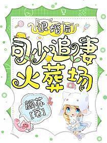 司少追妻火葬场!书包简介