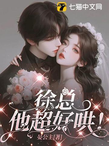 徐总是什么职位