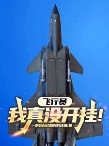 我现在飞行员