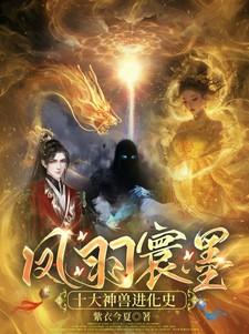 主人公叫凤羽珩的