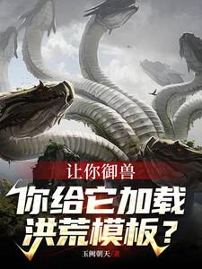 你给它加载洪荒模板