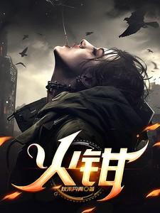 火钳多少钱一把
