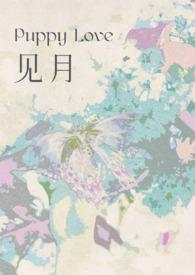 见月草图片大全