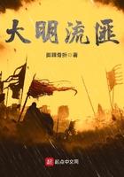 大明流匪几个女主