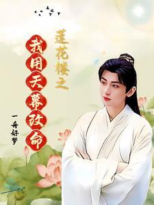 宝马投屏