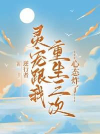 灵宠简介