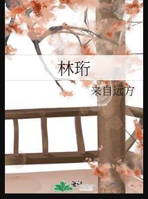 林珩衡月停岸免费阅读