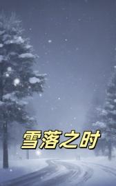 雪落之时再说爱你