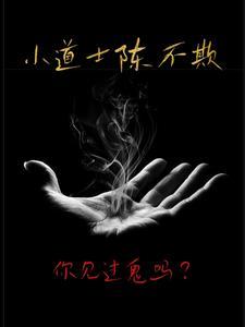 小道士陈不欺全部角色表