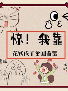 我靠花钱成为首富