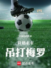 开局卡卡吊打梅罗无防盗
