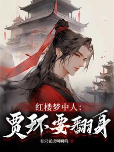 红楼梦中人贾环要翻身txt