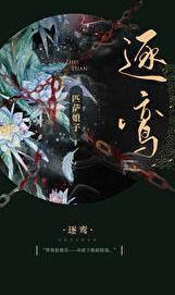逐鸾书评