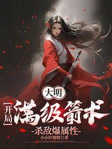 大明开局满级箭术杀敌爆属性