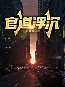官道浮沉杨正风