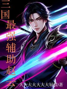 赵云的辅助