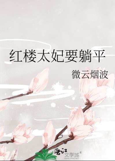 红楼梦太太