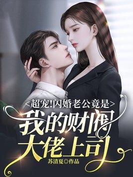 闪婚老公是总裁大人