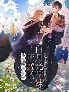 我的魔法学院 知乎