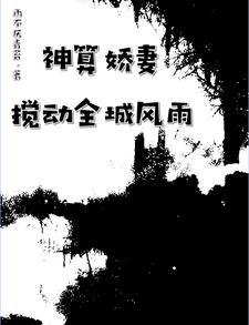 神算子阅读全文免费