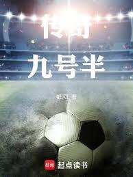 九号半年报