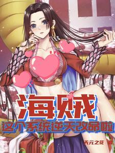 海贼系统的
