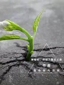 离婚之后在线阅读