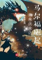 霍格沃兹之马尔福崛起免费阅读