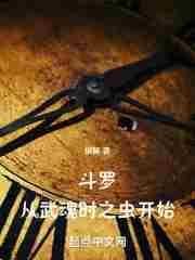 斗罗从武魂时之虫开始篱笆好文学