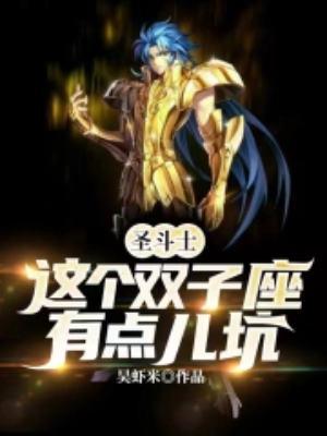 圣斗士这个双子座有点儿坑123