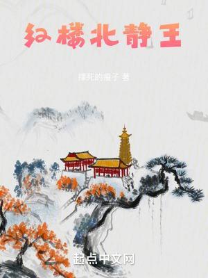 红楼梦里的北静王结局