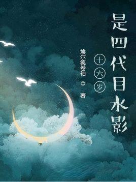 四代目水影简介