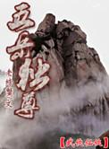 五岳独尊30年价格52度