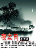 夜之月亮