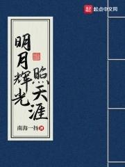 明月照九州天涯共此时